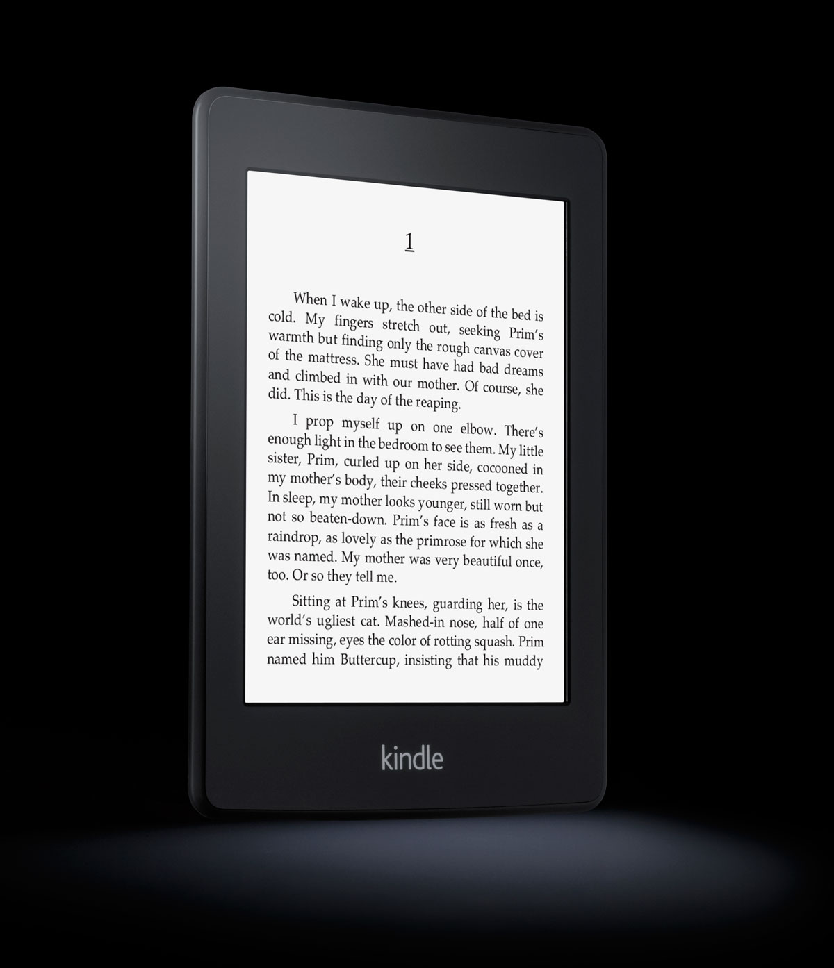 The Kindle Paperwhite ($99)