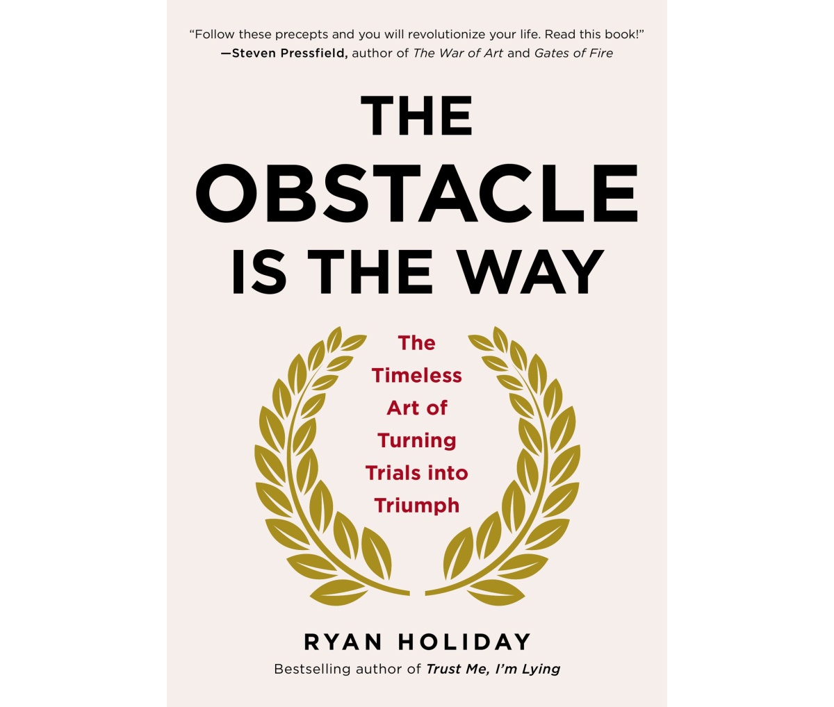The Obstacle is the Way by Ryan Holiday.