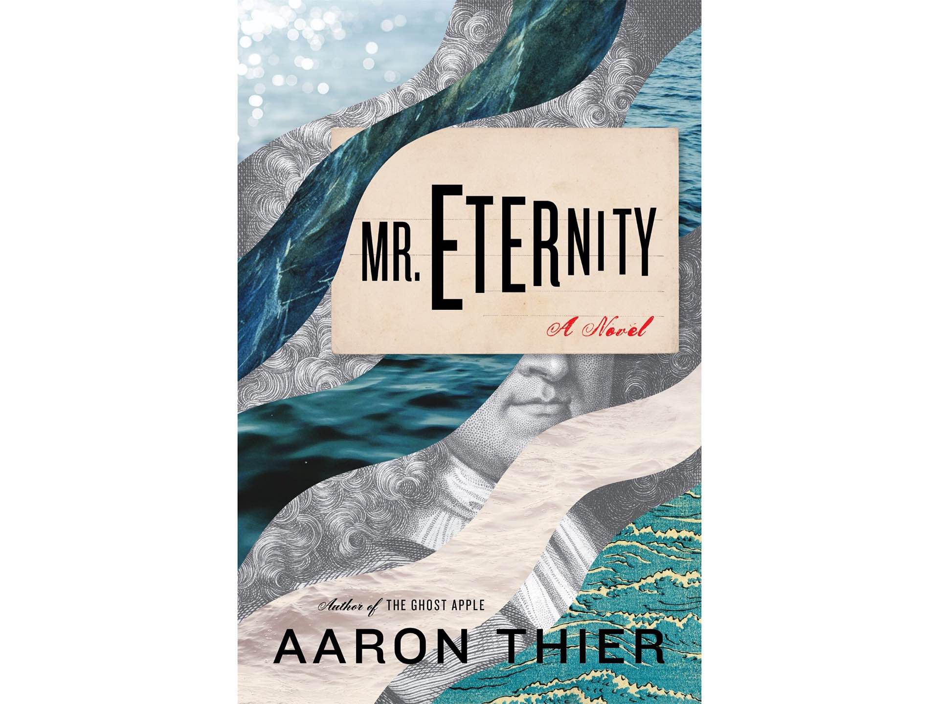 mr-eternity-by-aaron-thier