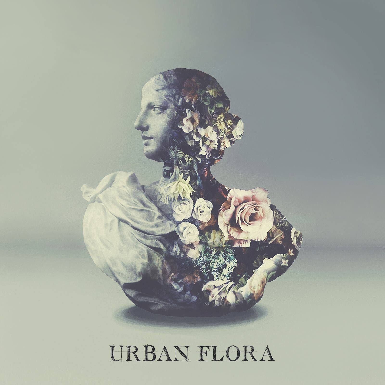 quality-linkage-urban-flora-alina-baraz-galimatias