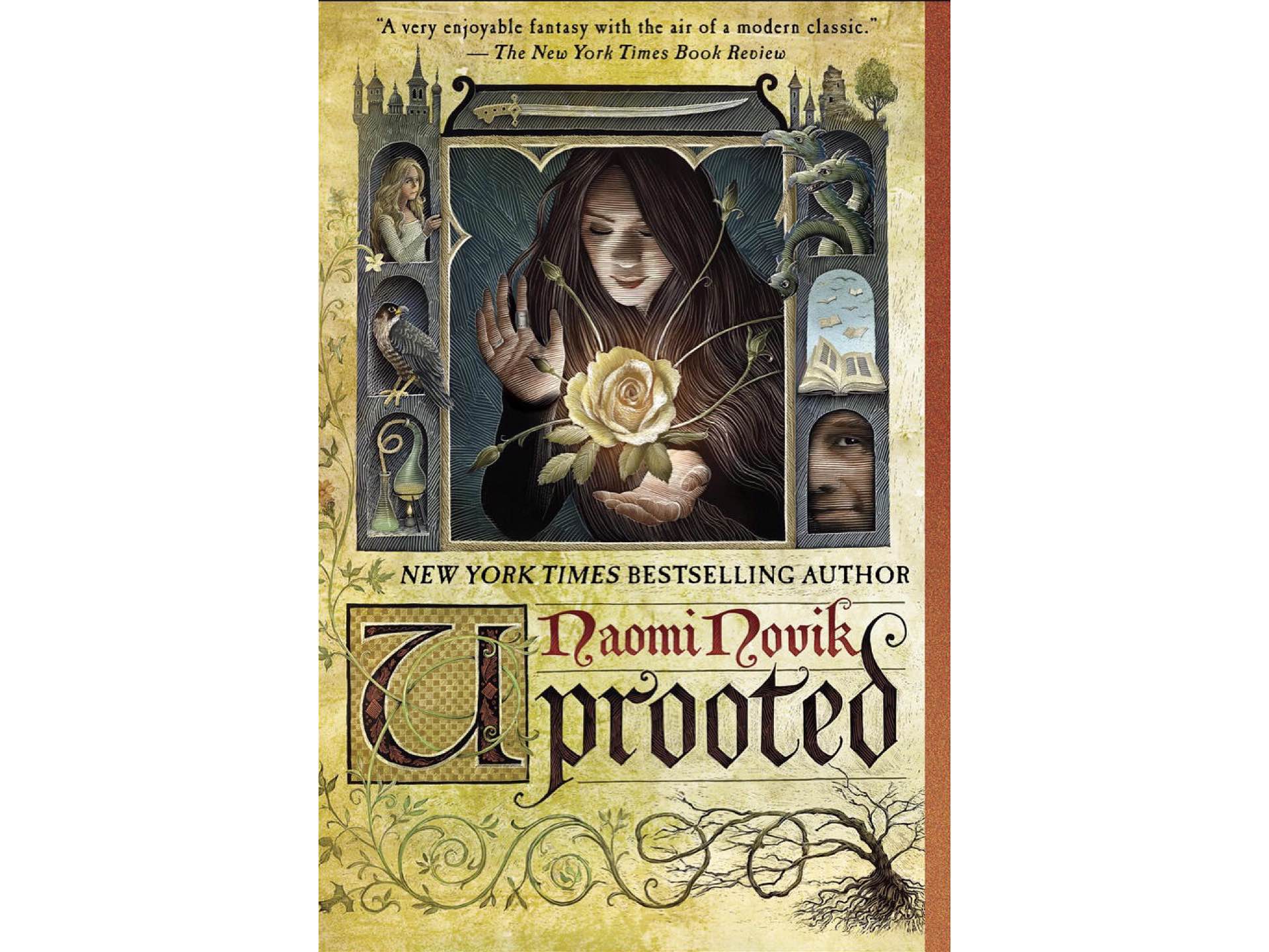 Uprooted by Naomi Novik.