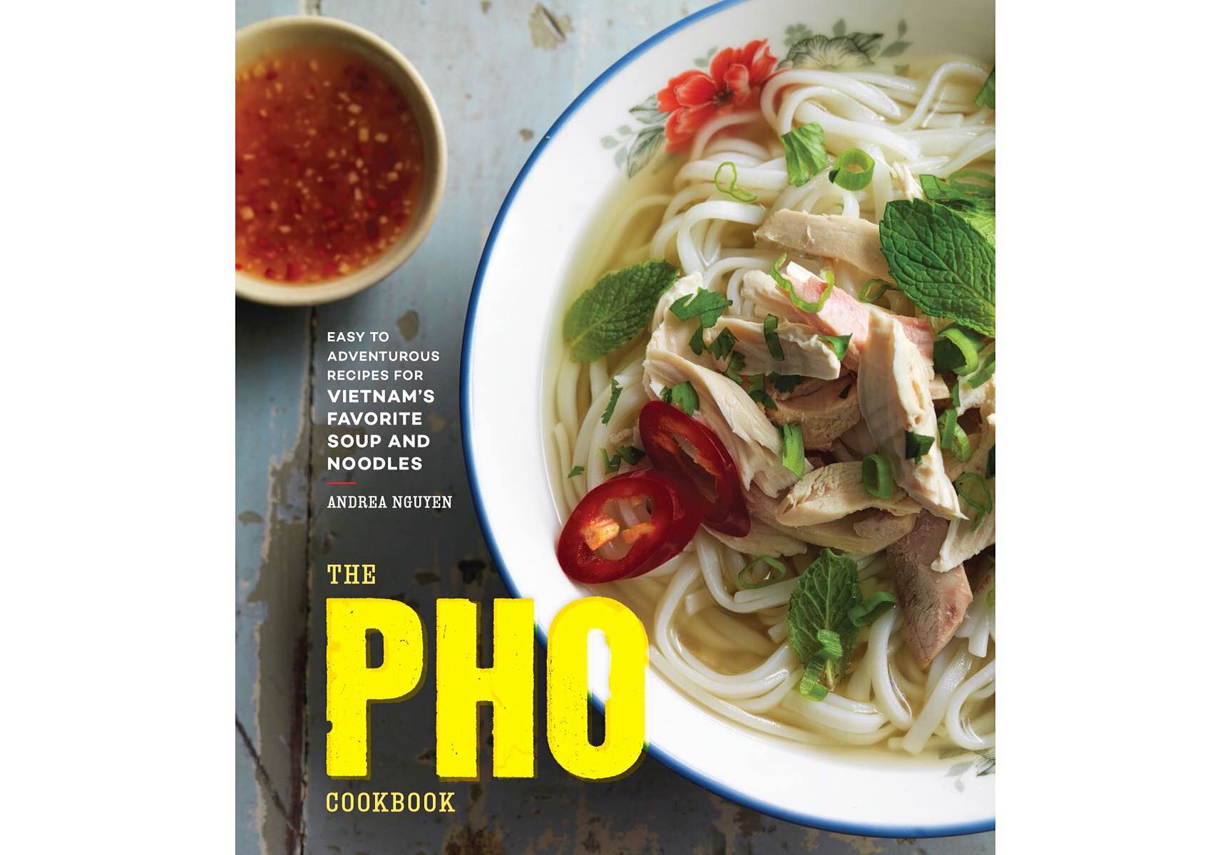 The Pho Cookbook by Andrea Nguyen.