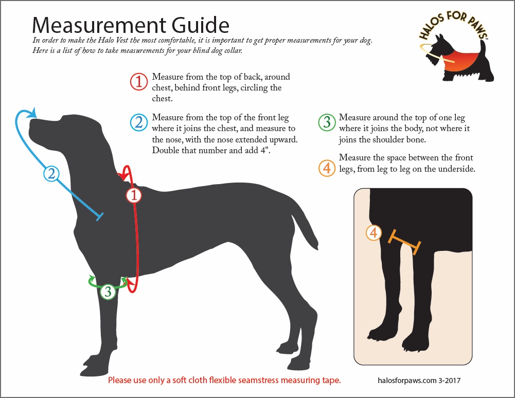 Halo guide clearance for blind dogs