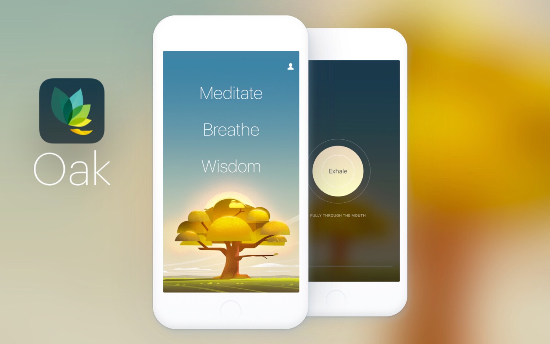 oak-meditation-app-for-ios