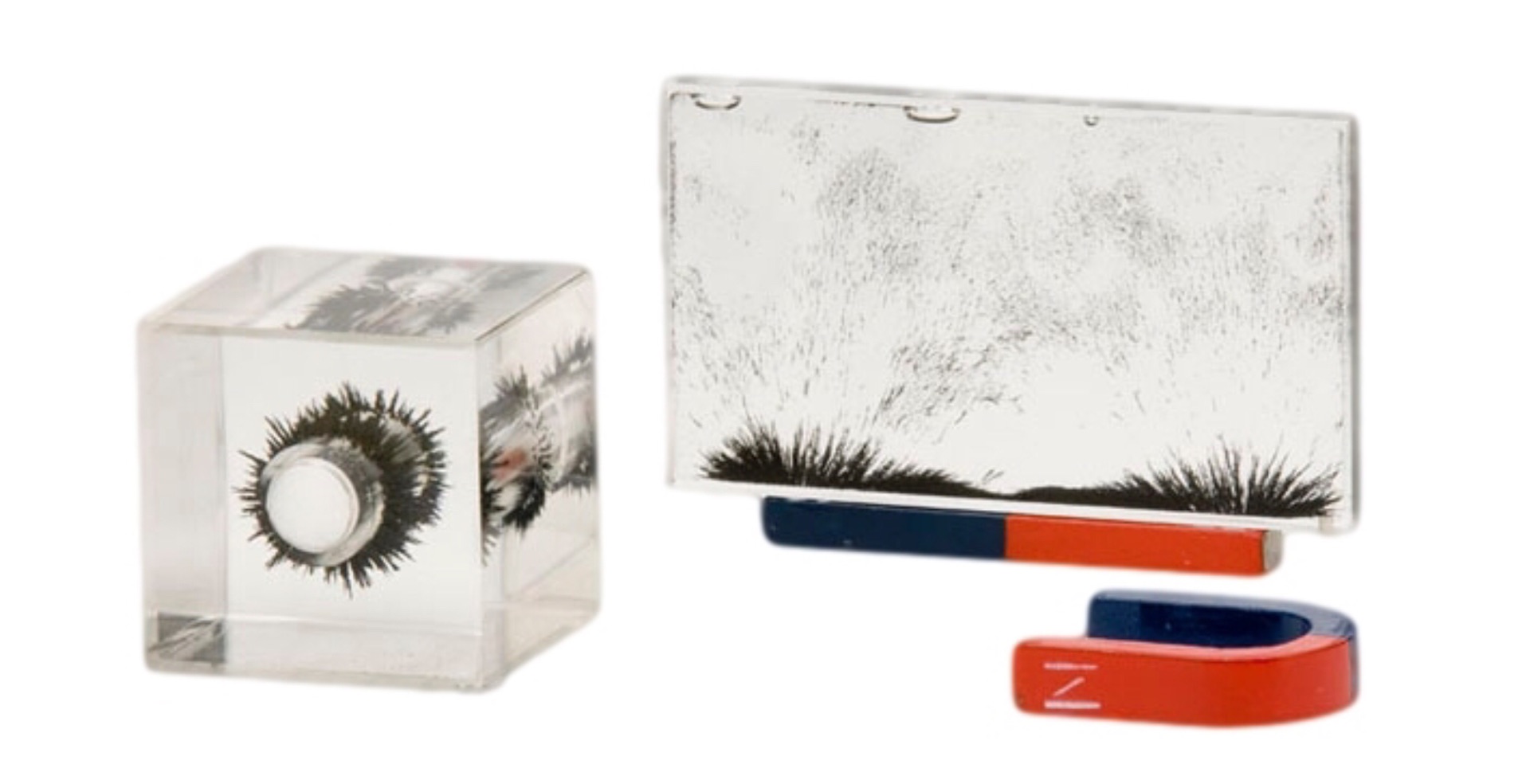 Sci-Supply magnetic field demonstrator set. ($60)