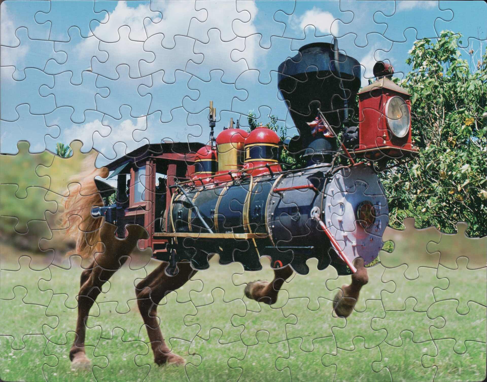 Puzzle montage by Tim Klein