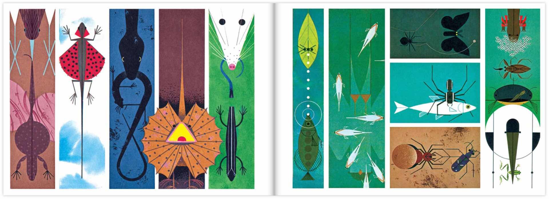 Charley Harper: An Illustrated Life' by Todd Oldham — Tools and Toys