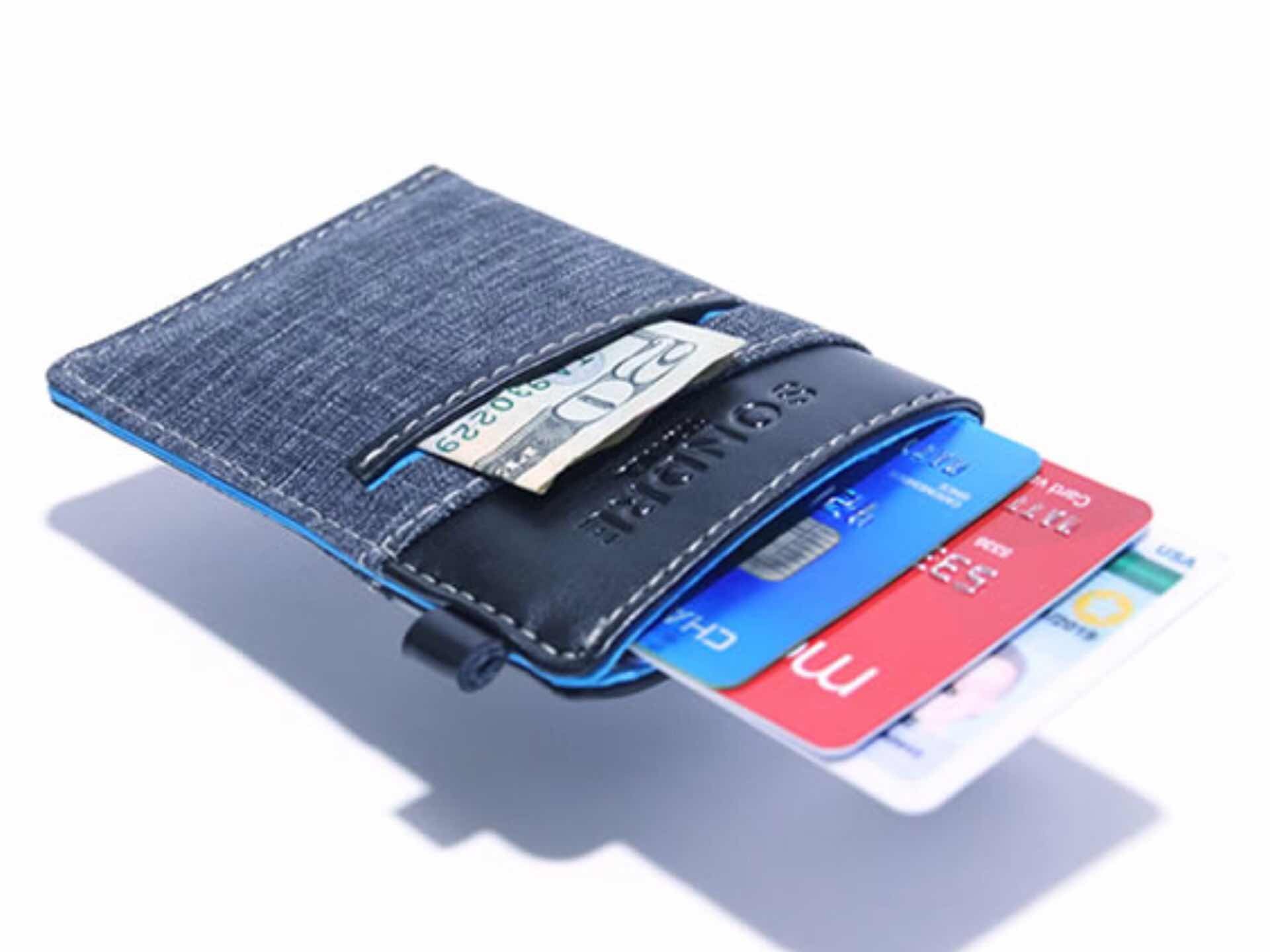 Sondre Travel Voyage wallet. ($15 as of this writing; normally $20)