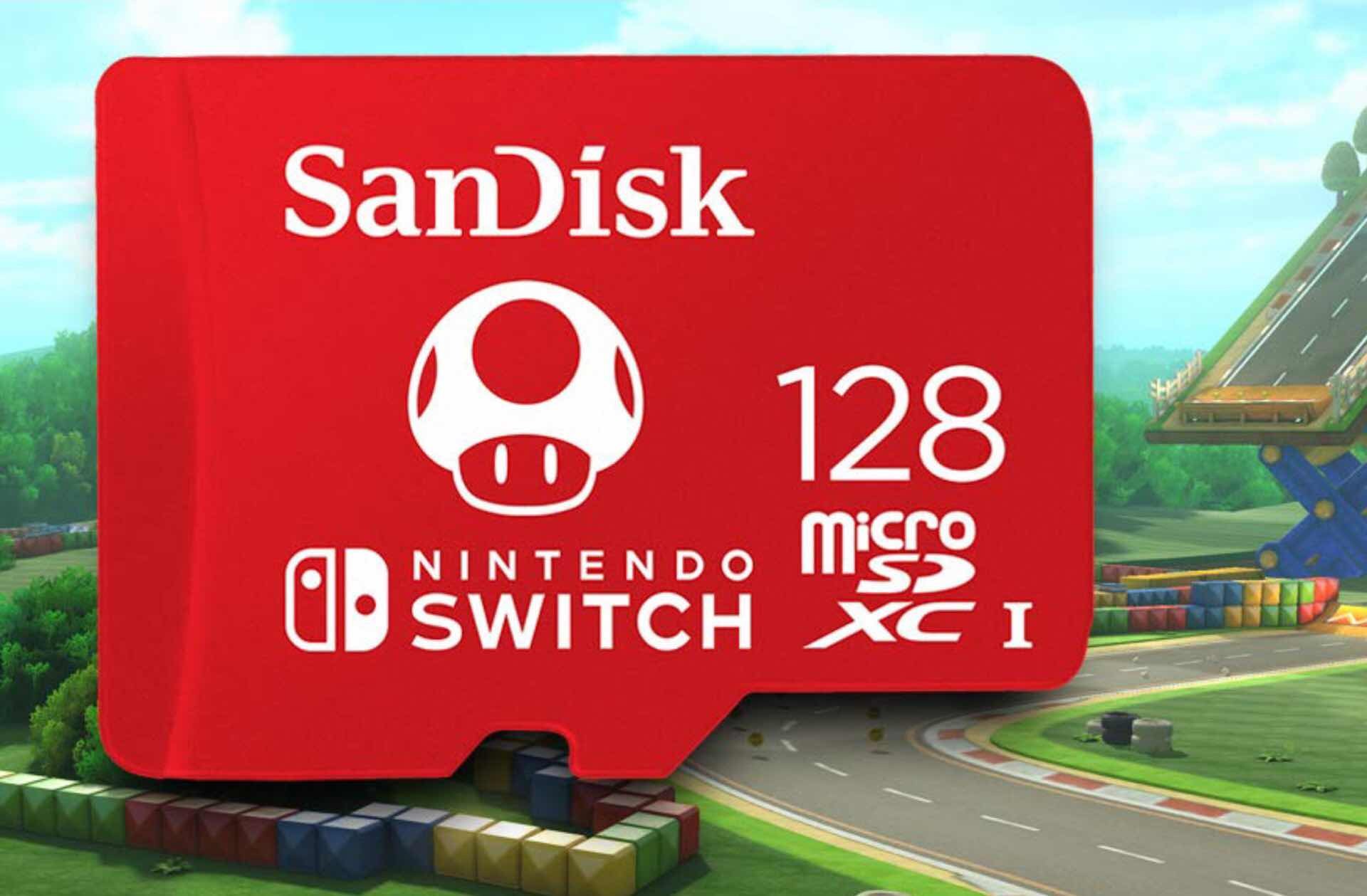 nintendo-switch-lite-launch-guide-micro-sdxc-card-storage