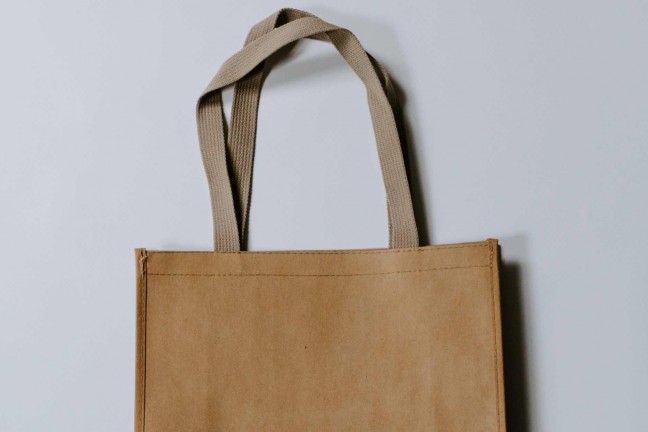 reusable-bags-to-replace-disposable-ones-guide-hero-kelly-sikkema