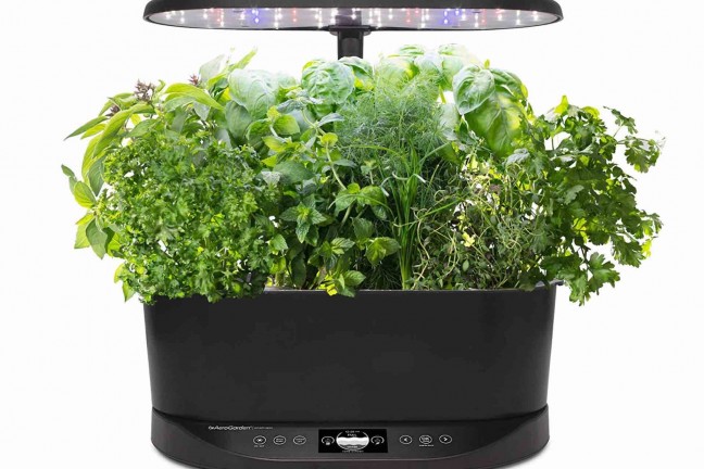 aerogarden-bounty-basic-indoor-gardening-system