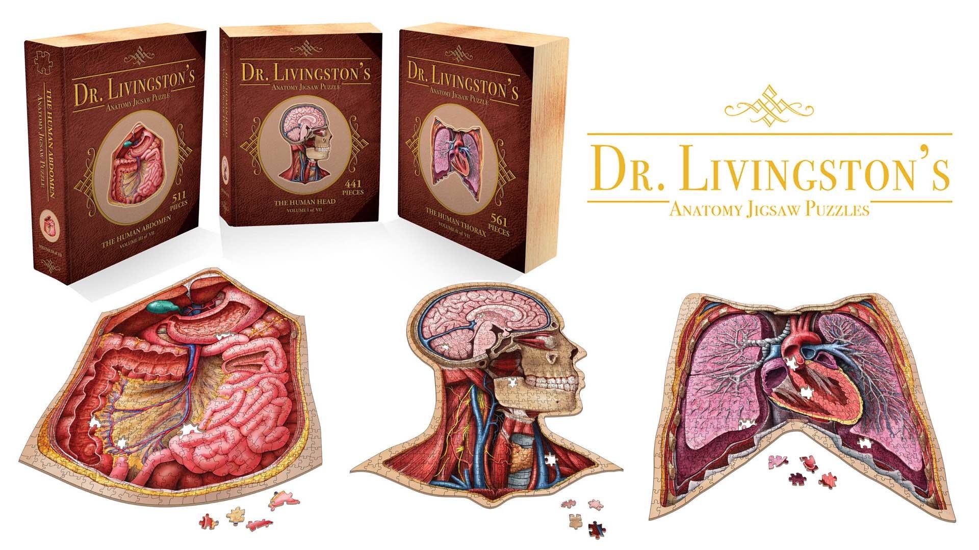 Dr. Livingston's human anatomy puzzles. ($20 a pop, or $140 for the 7-puzzle full body set)