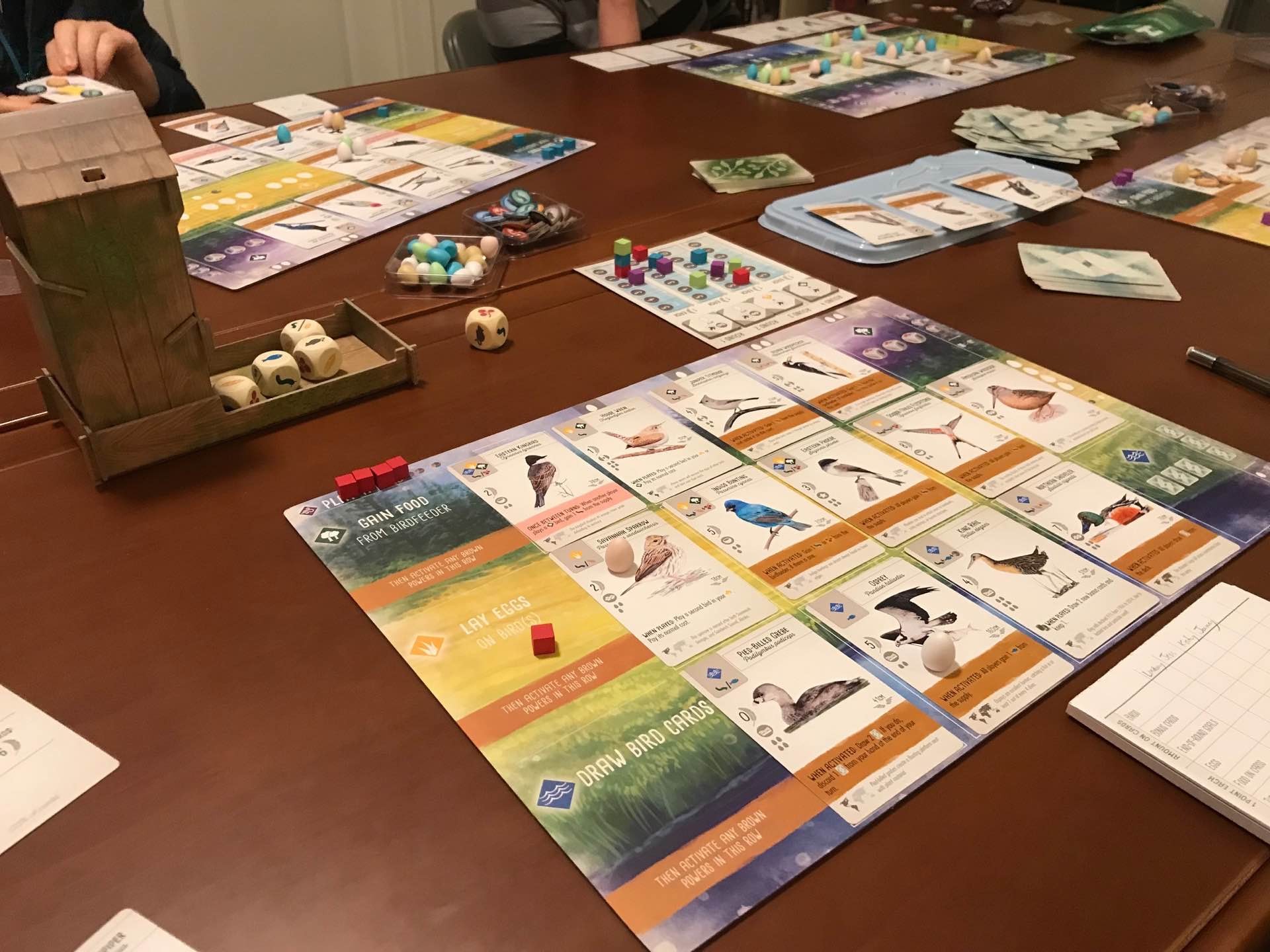 wingspan-board-game-2