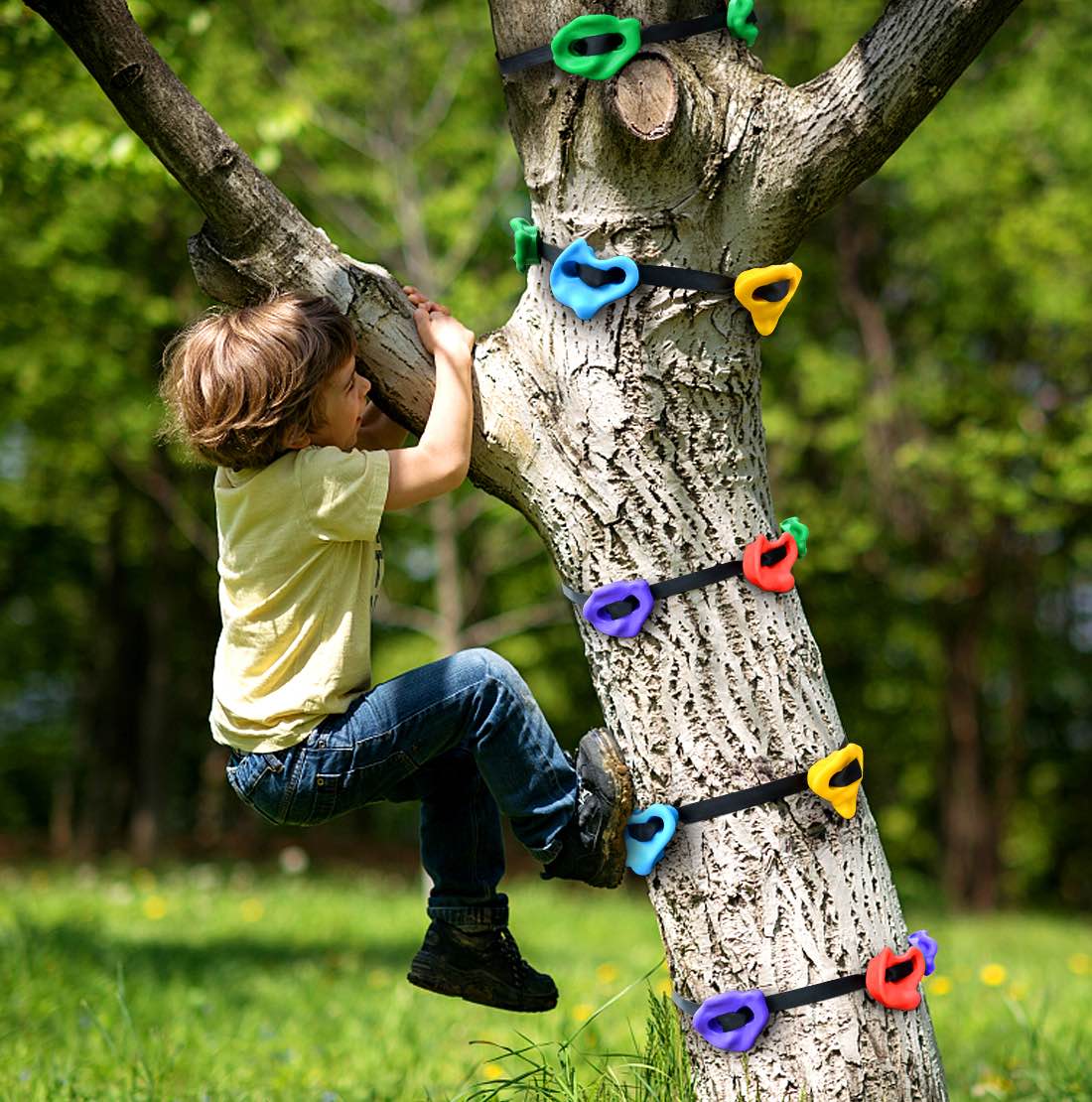 Tree-climbing holds for kids. ($42)