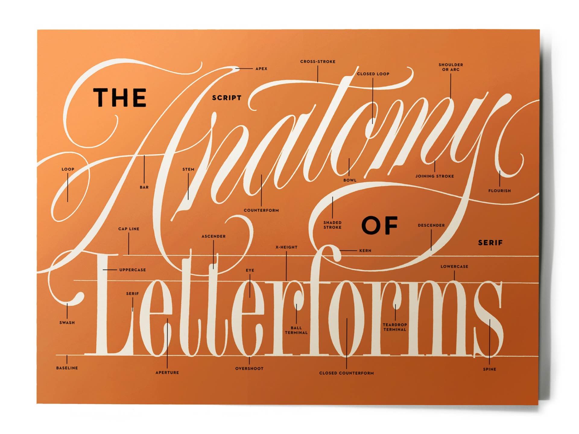 house-industries-the-anatomy-of-letterforms-print-copper
