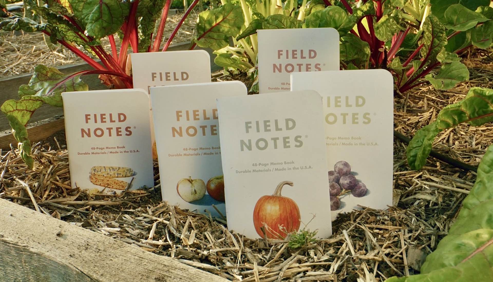 Field Notes “Harvest” Edition — Tools and Toys