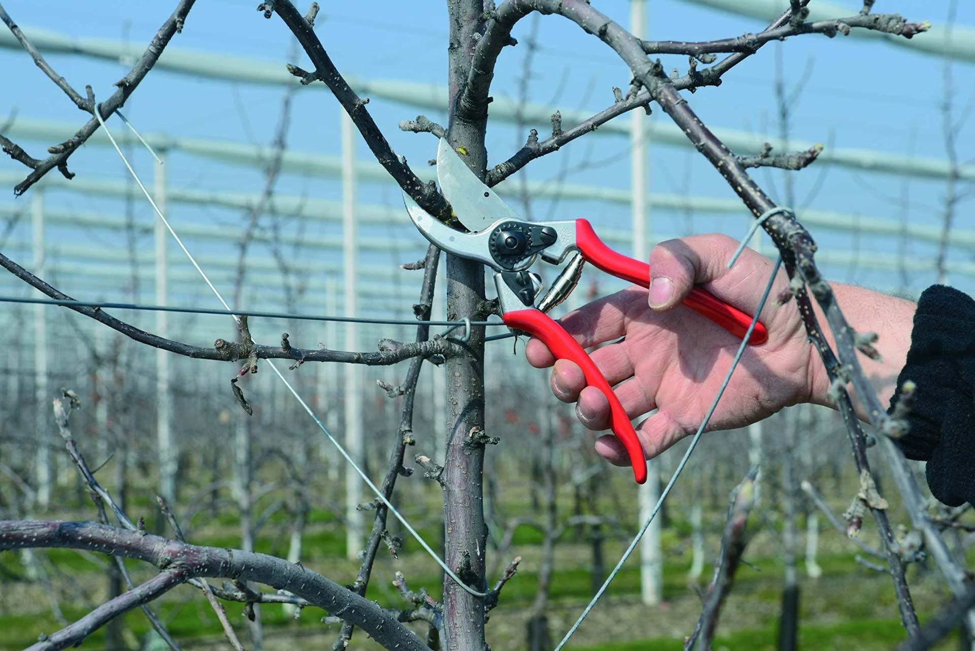 FELCO 2 One-Hand Pruning Shear Review: A Champ in the Garden