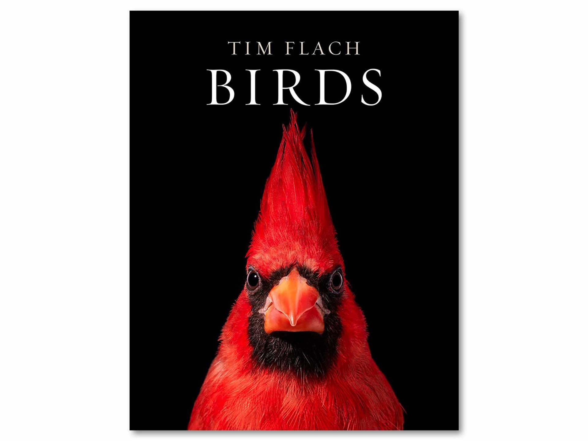 birds-coffee-table-book-by-tim-flach