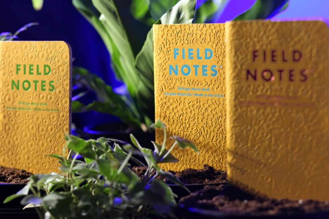 field-notes-signs-of-spring-edition