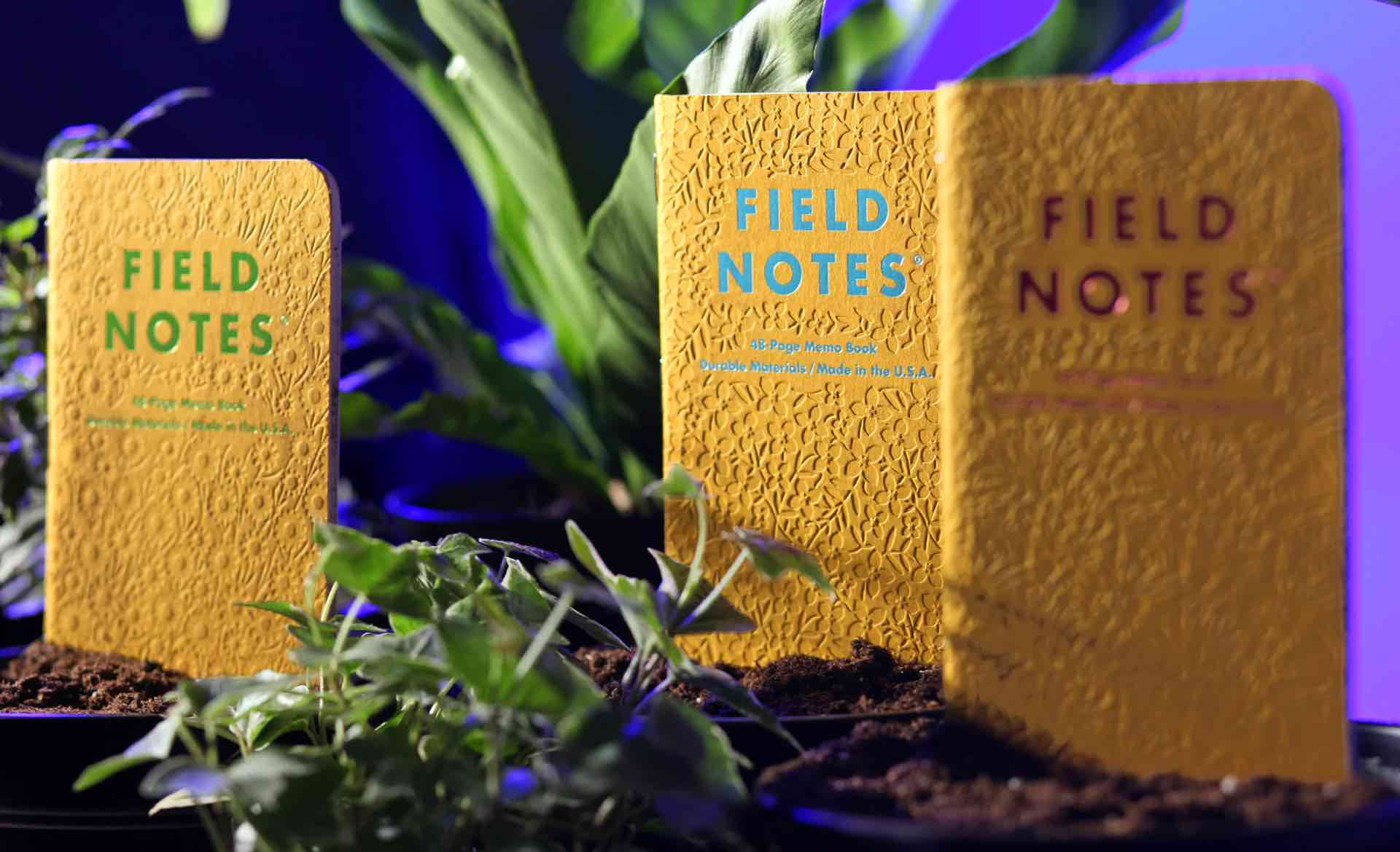 field-notes-signs-of-spring-edition