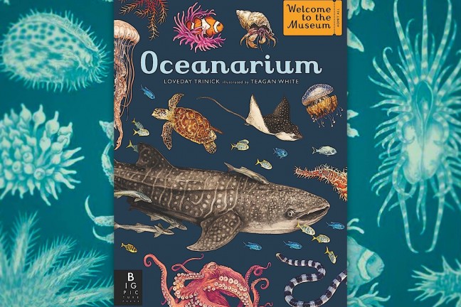 oceanarium-by-loveday-trinick-and-teagan-white