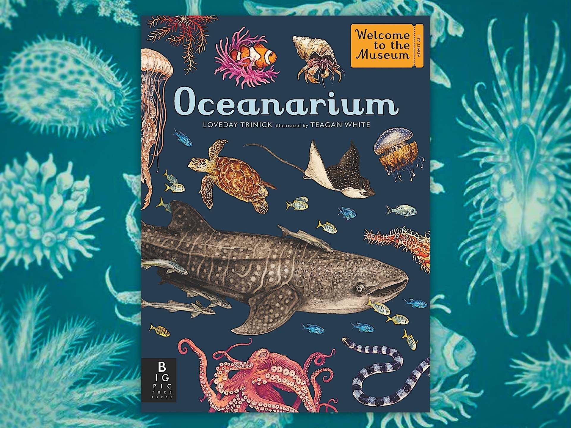 oceanarium-by-loveday-trinick-and-teagan-white