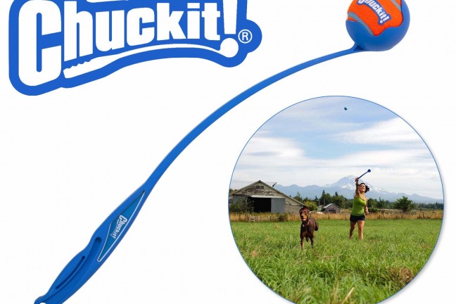 chuckit-sport-ball-launcher-for-pets