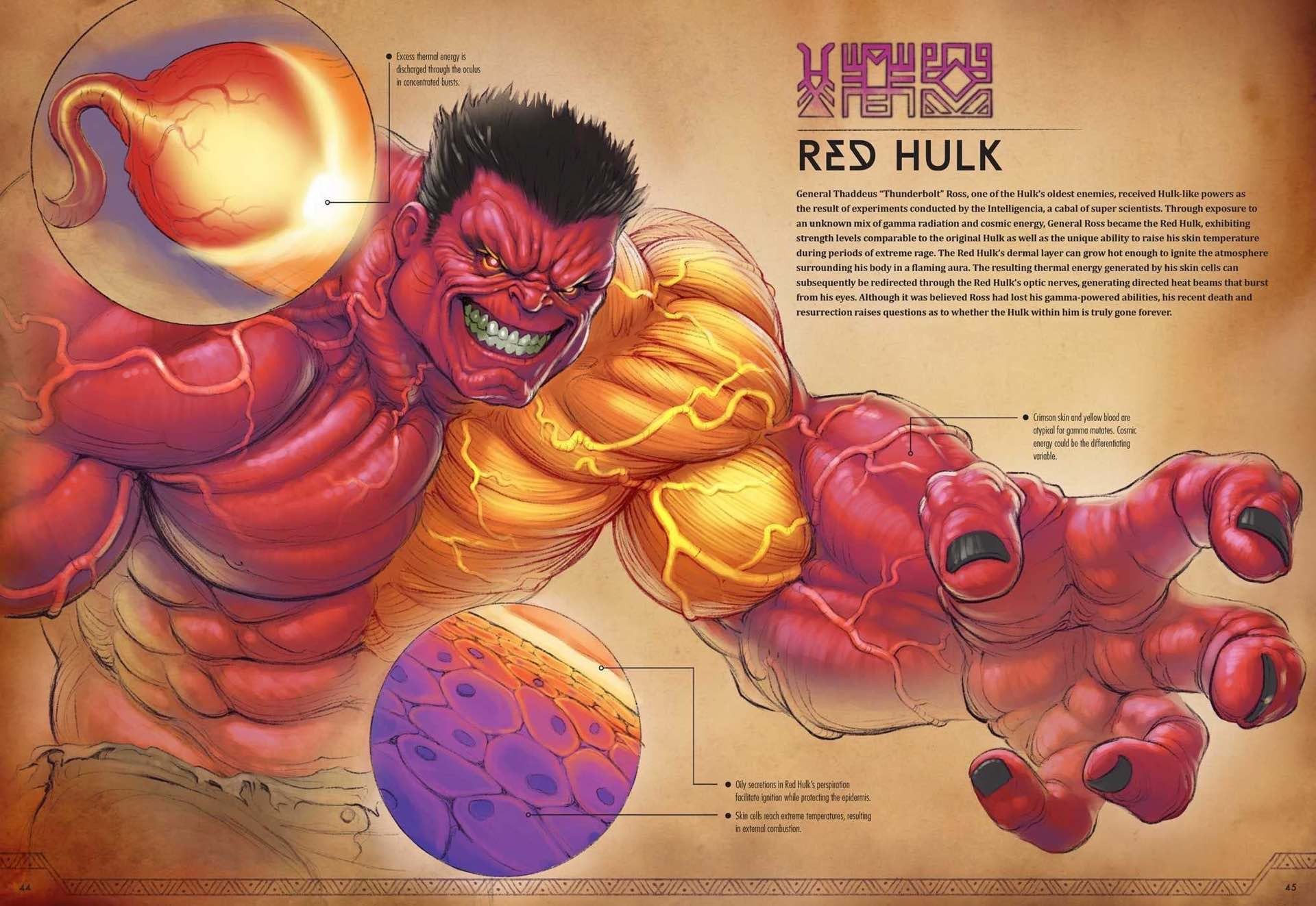 marvel-anatomy-coffee-table-book-red-hulk