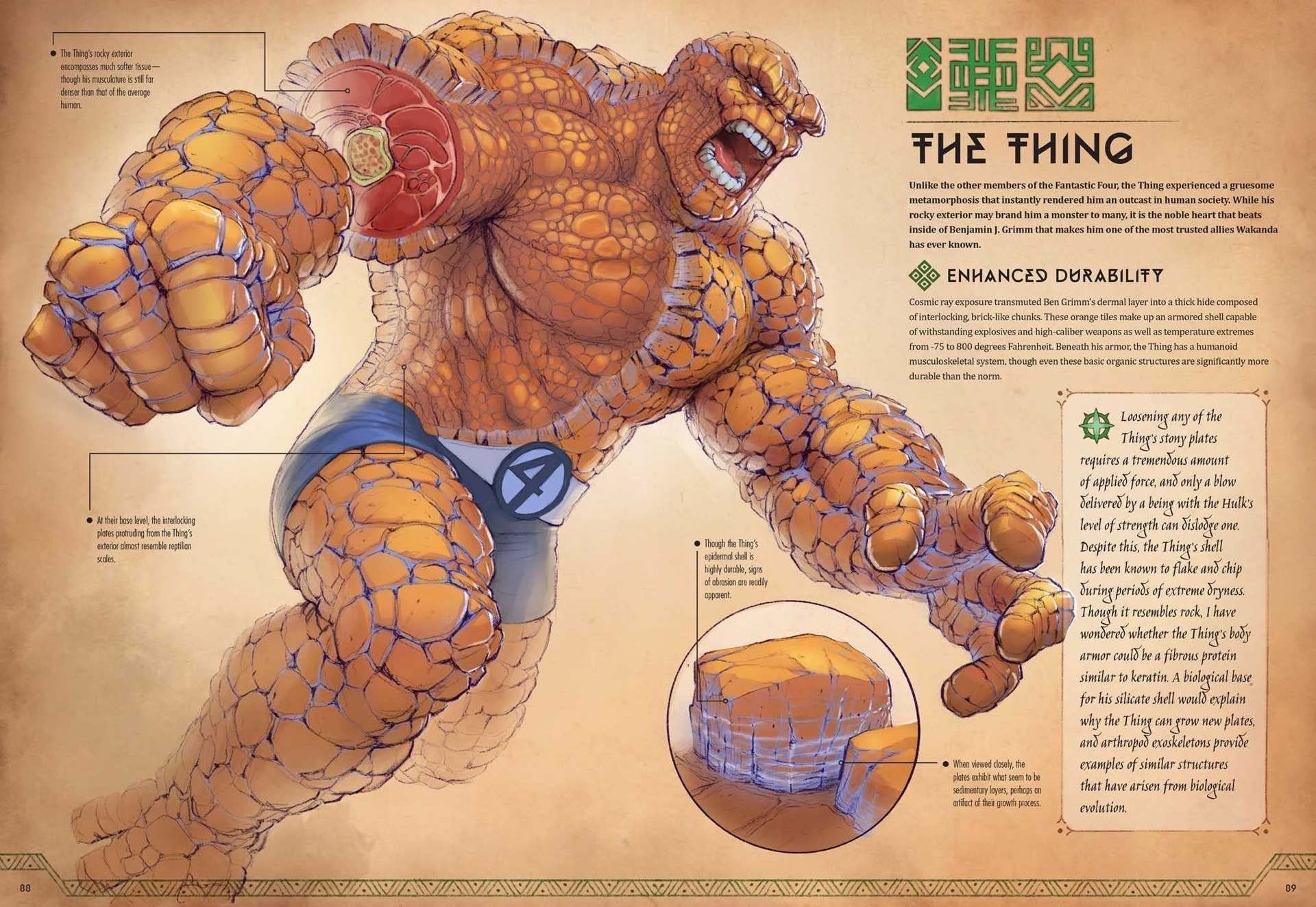 marvel-anatomy-coffee-table-book-the-thing