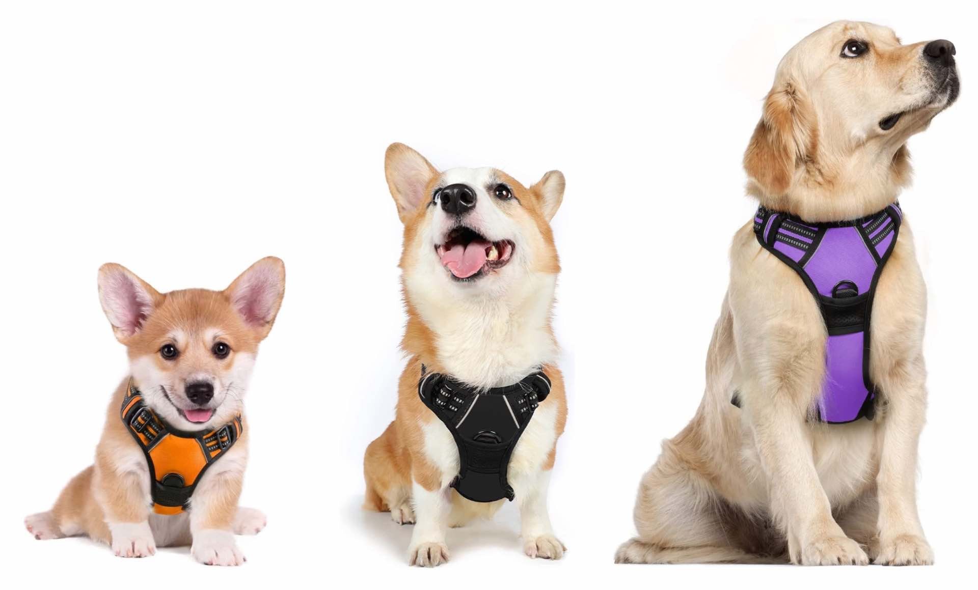 rabbitgoo-no-pull-adjustable-dog-harness-sizes-colors