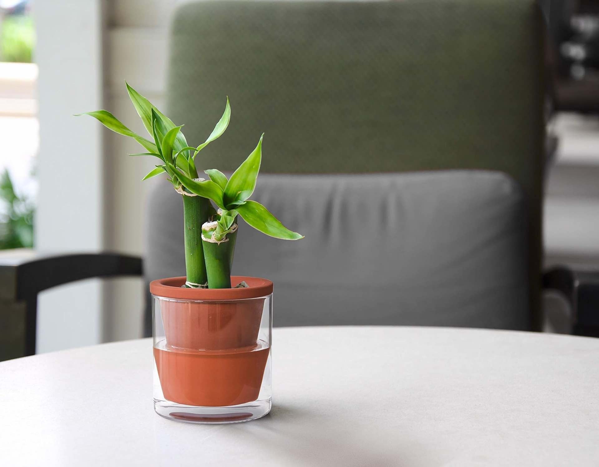 dvine-dev-self-watering-terracotta-indoor-plant-pots-2
