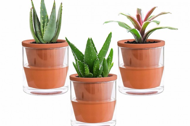 dvine-dev-self-watering-terracotta-indoor-plant-pots
