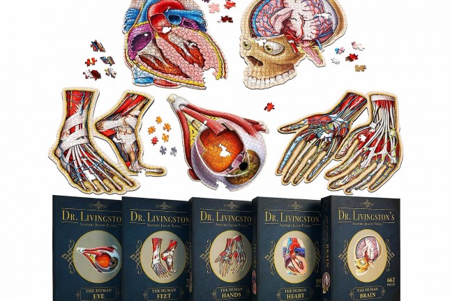 dr-livingstons-anatomy-jigsaw-puzzles-the-heart-brain-eye-hands-feet