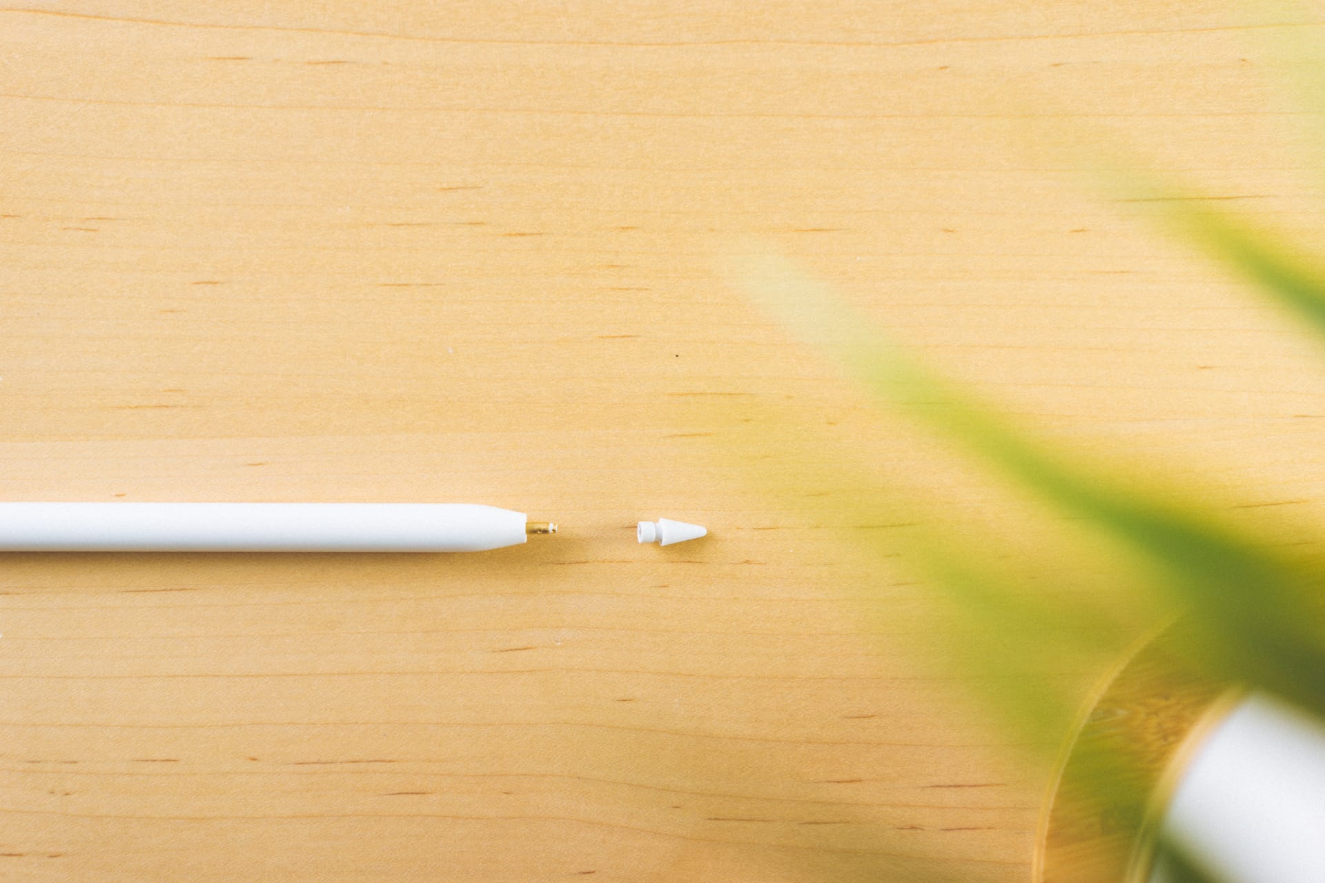 Apple Pencil and Smart Keyboard